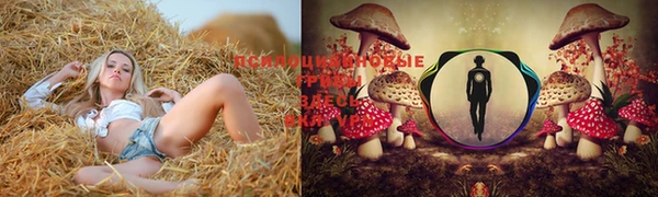 марки nbome Балахна