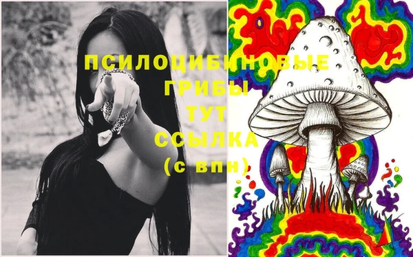 СК Баксан