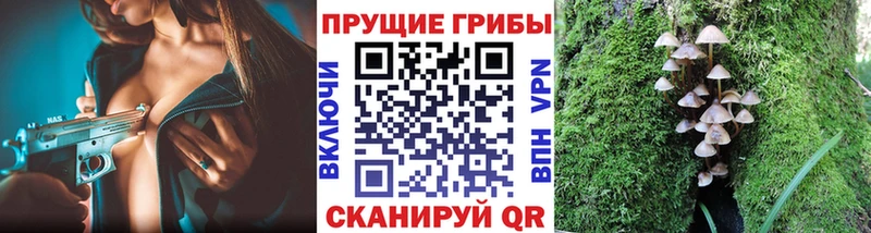 нарко площадка Telegram закладки Курильск Галлюциногенные грибы мицелий